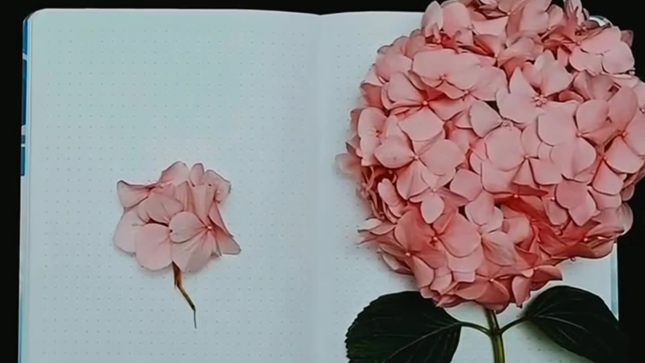 Allah plans 💗💗💗💗😱