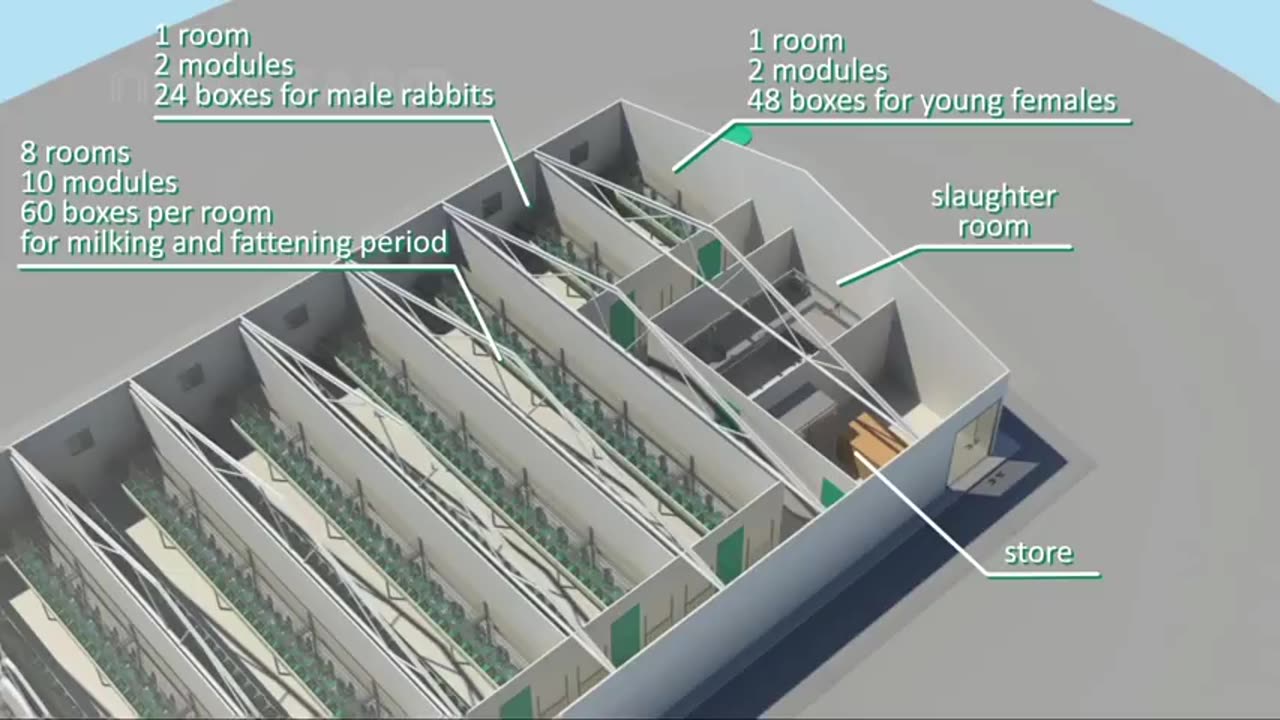 Modern Rabbit Farming and Harvest Technology 🐇- Rabbit meat processing in Factory - Rabbit Industry