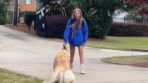 The dog waiting for the girl at school