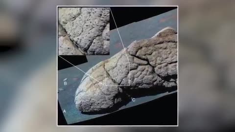 20 PHOTOS THAT SCIENTISTS CAN'T EXPLAIN