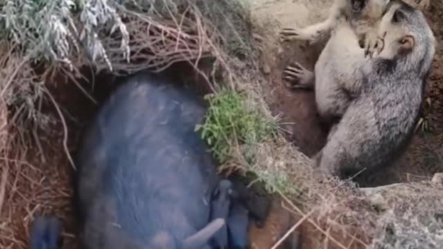 funny #funny video#Must watch new funny comedy videos 2022 best amazing funny comedy