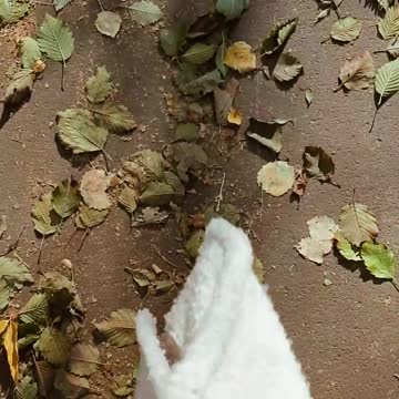 Осень 2020 в Перми