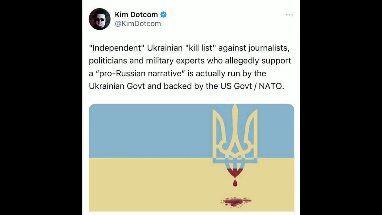 German Internet entrepreneur and political activist Kim Dotcom about the Ukrainian "Peacemaker":