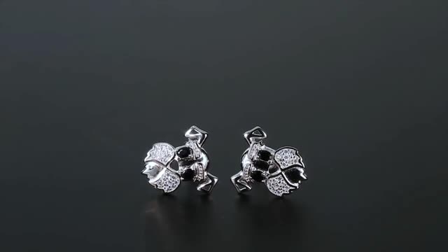 Stunning Schnauzer Face Silver Earrings