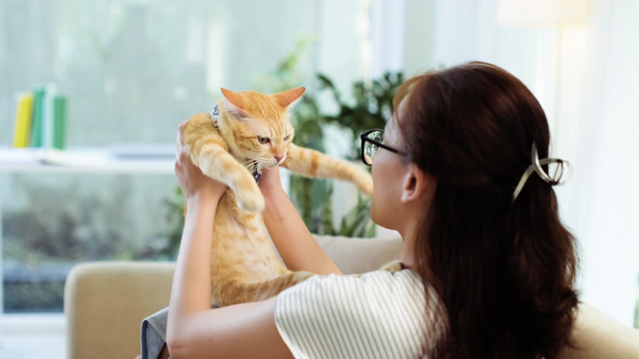 Women Playing With Cute Cat