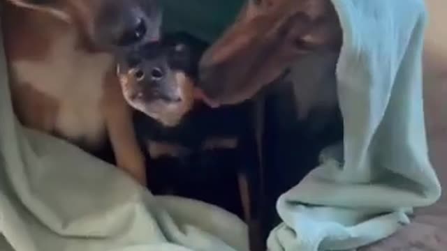 Happy family