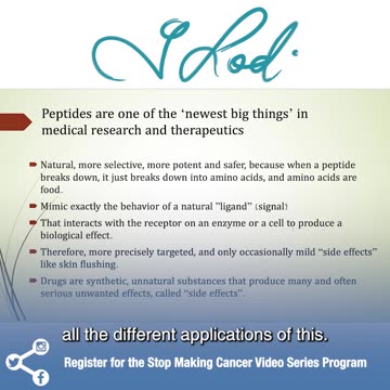 What Is The Function Of Peptides