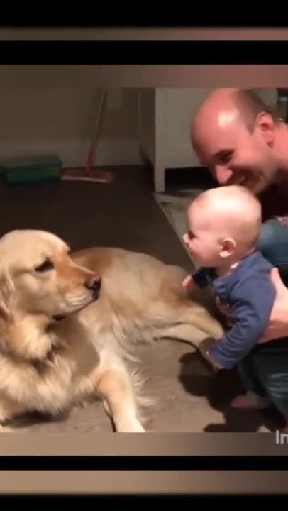 funniest cute baby funny moments with cute puppy dog