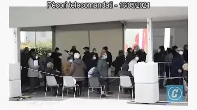 Pècori telecomandati