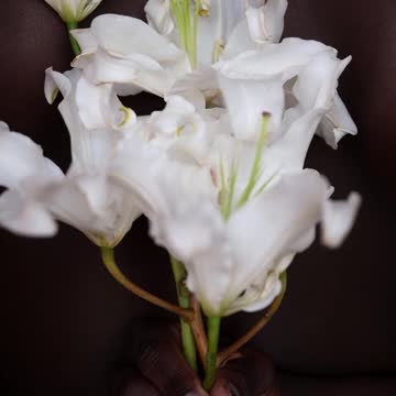 Fresh Flowers Beautiful & So Nice Video