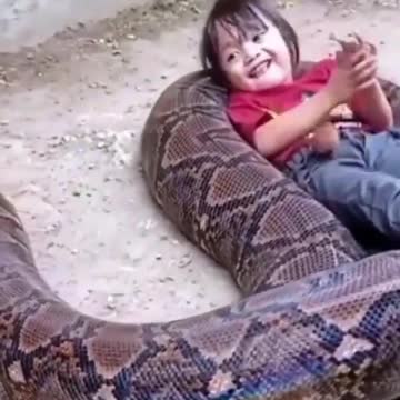 Little Girl Plays With Gigantic Snake