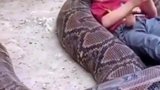 Little Girl Plays With Gigantic Snake