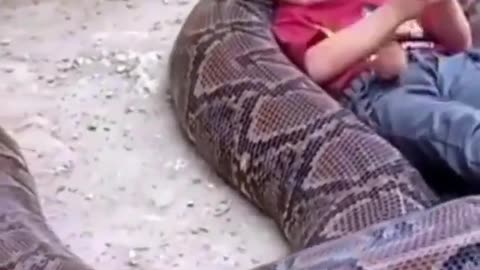 Little Girl Plays With Gigantic Snake