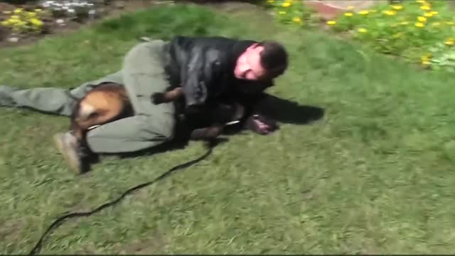 How to Tackle a dog