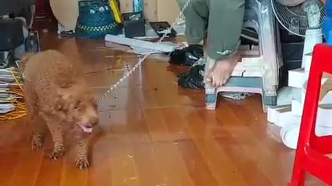 for training