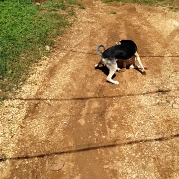Brother and sister, and two best friends, but always at it with each other.