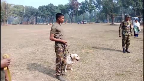 Army animal training video