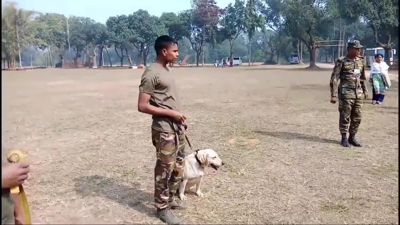 Army animal training video