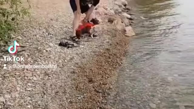 Trip to the lake after the bribe