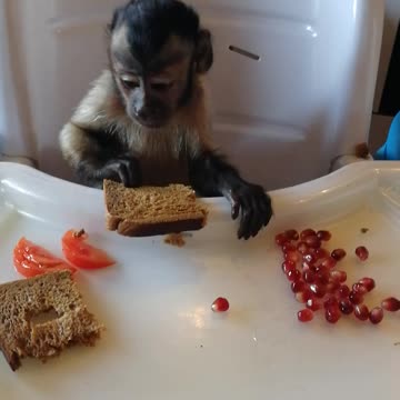 Учимся сидеть в детском стульчике