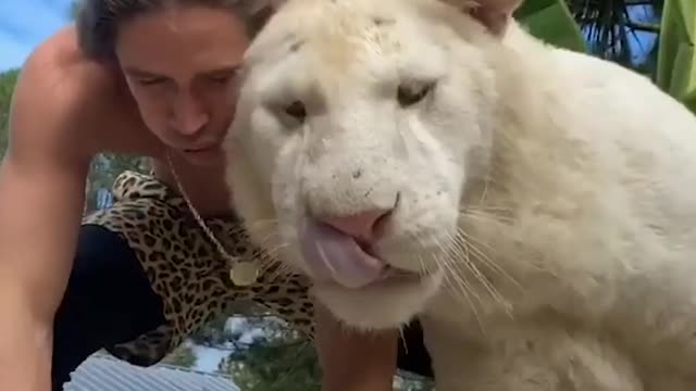 This man lives with over 60 wild cats