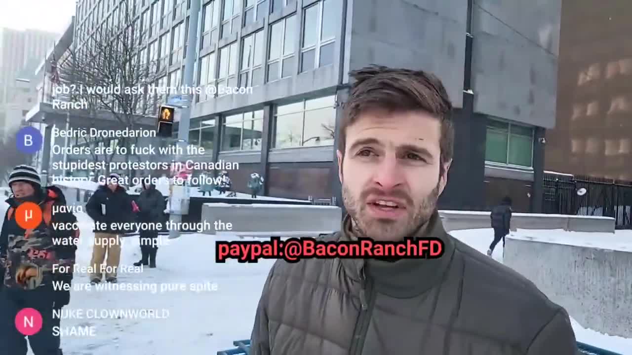 afghani veteran get,s arrested