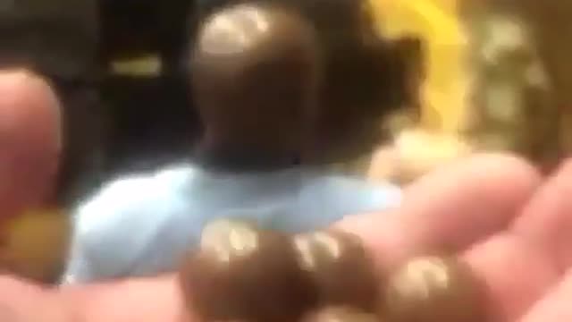 Happy every day to make than black chocolate silly points not clear humor interesting