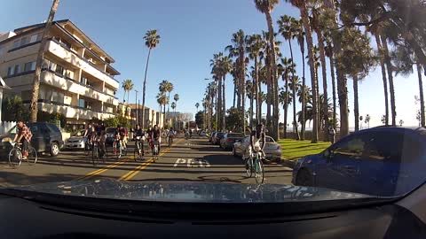 Large Group of Cyclists Swarm Car