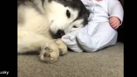 A Baby has adorable reaction to puppy