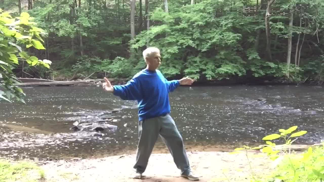 Taiji Qigong In 18 Figures