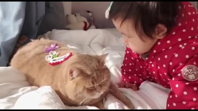 Loving Family Cat Always There For His Little Human Sister