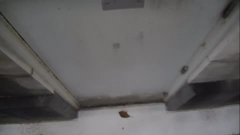 0921USCG00HT18Exterior_2021-01-06_08h40min01s623ms.mp4