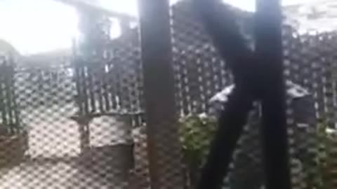 Candela en San Juanito