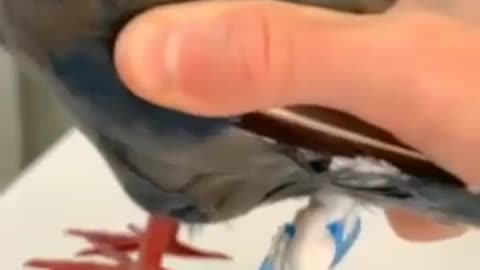 Nettes Geburtstagsgeschenk 🤔