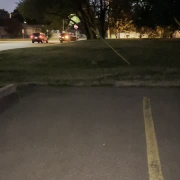 A rabbit on grass at night