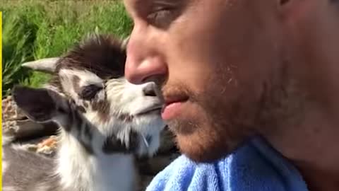 Animals are extremely adorable