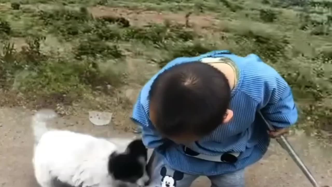 The dog does not want to leave the baby