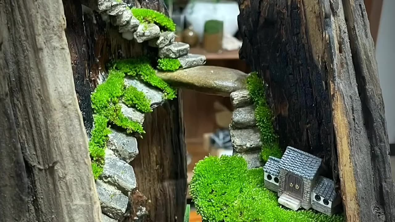 How to make amazing mini garden