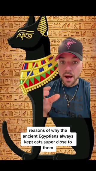 Can a Cats purr kill Cancer cells 😱