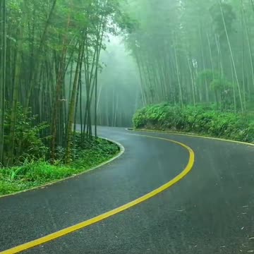 Beautiful Nature🌿🍃