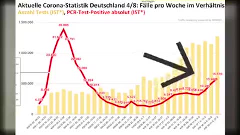 schritt-fuer-schritt