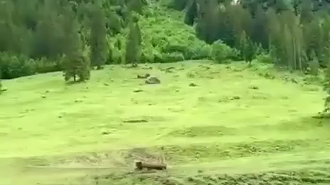 جمال الطبيعةla natur