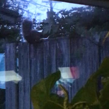 FASTEST escape ever!