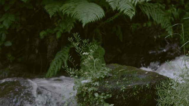 Water Flowing in the River