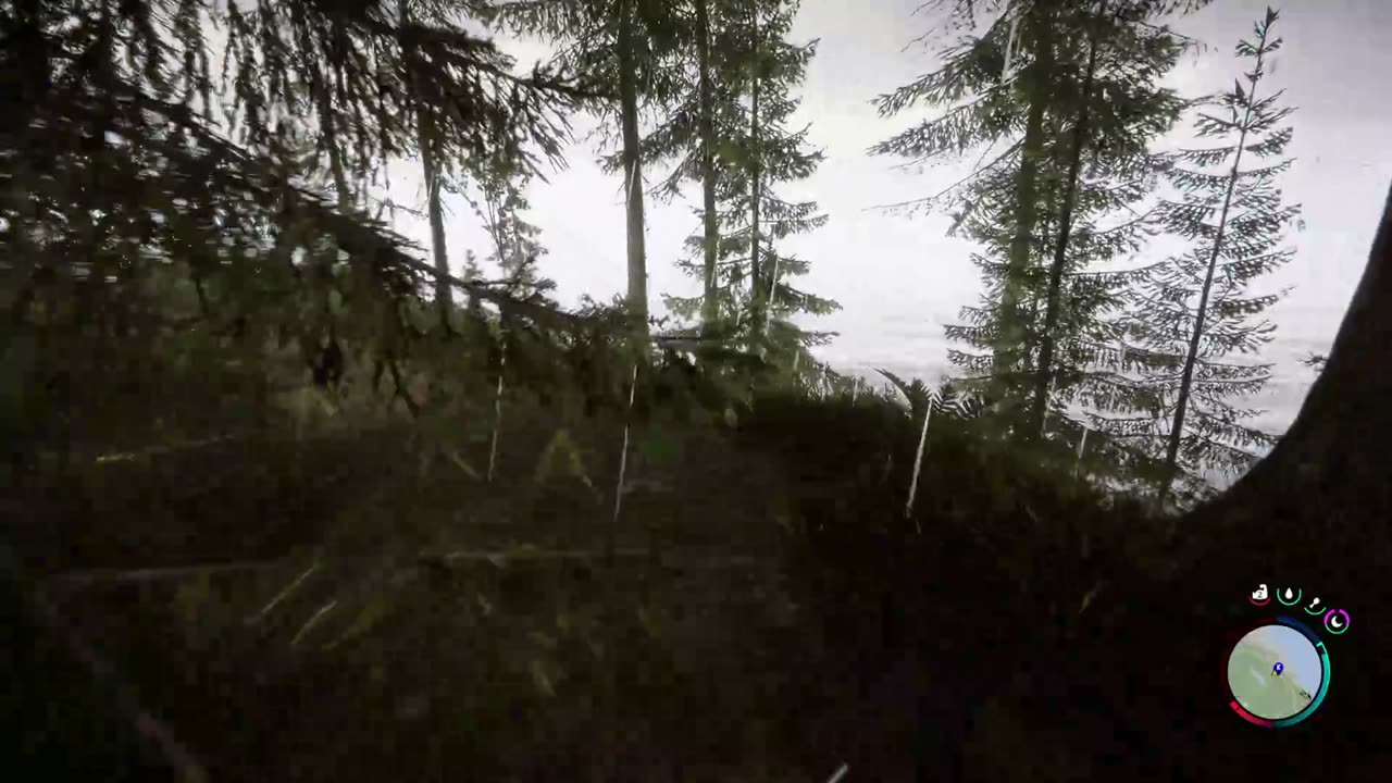 Let's play Sons of the Forest and find a good spot to build a Base