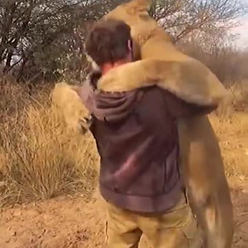 Supernatural Attachment_ Amazing Love Between Animals and Humans 💖