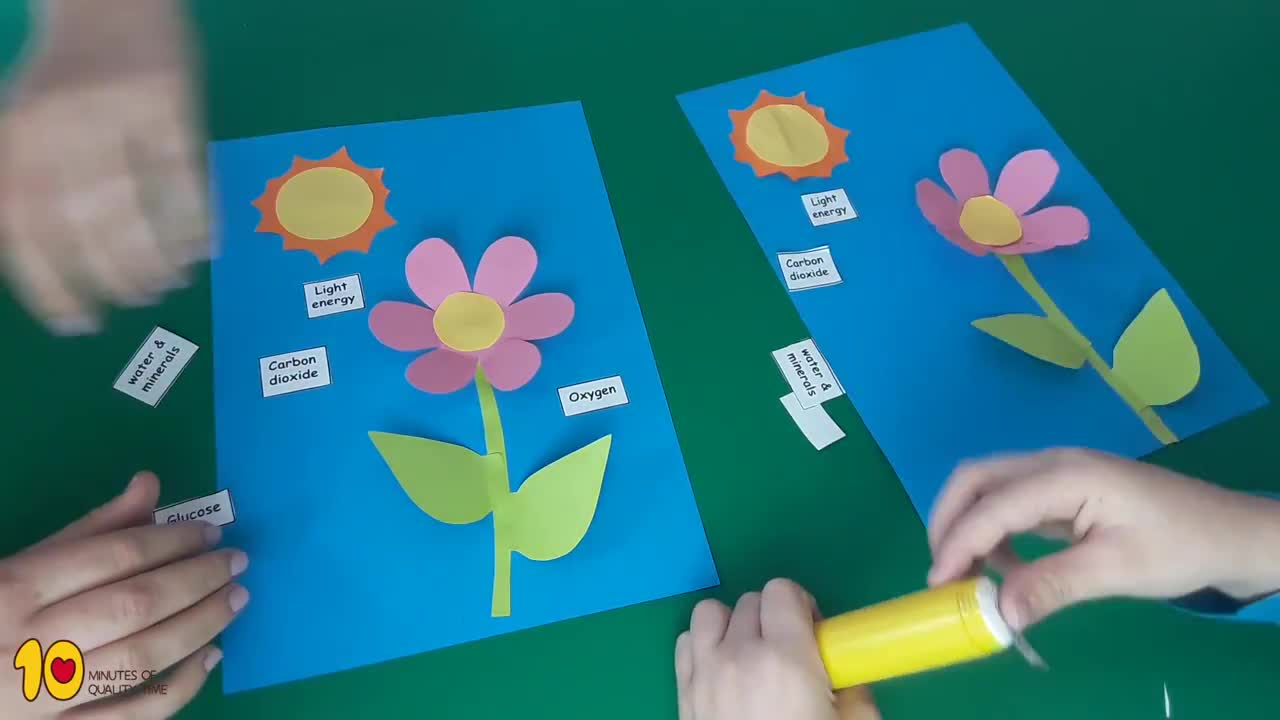 Photosynthesis Craft for Kids