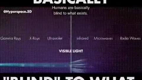 Humans Are Basically ‘Blind’ To What Exists