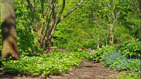 Video of pictures of gardens