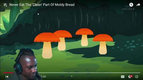 Never Eat The ‘Clean’ Part Of Moldy Bread